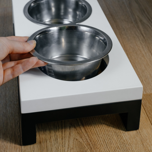 ¿Por qué es importante lavar los platos de los perros y gatos a diario?
