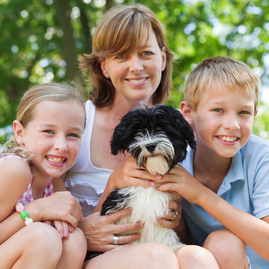 Cómo Enseñar a Tus Hijos a Cuidar a un Perro: Consejos Prácticos 🐾👧👦