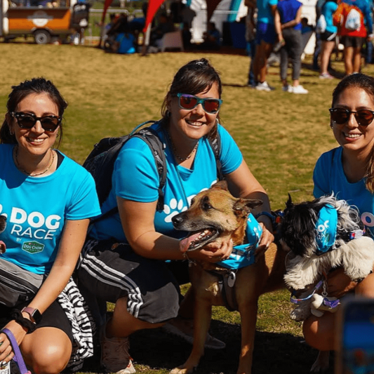 Inscríbete en la Dog Race 2025