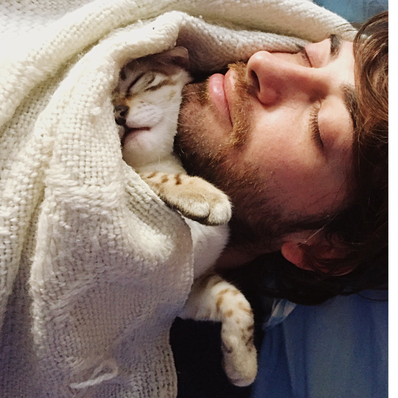 ¿Por qué mi mascota duerme conmigo?