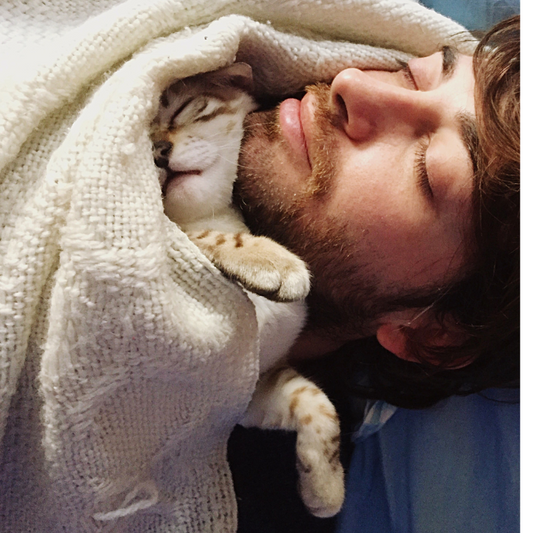 ¿Por qué mi mascota duerme conmigo?