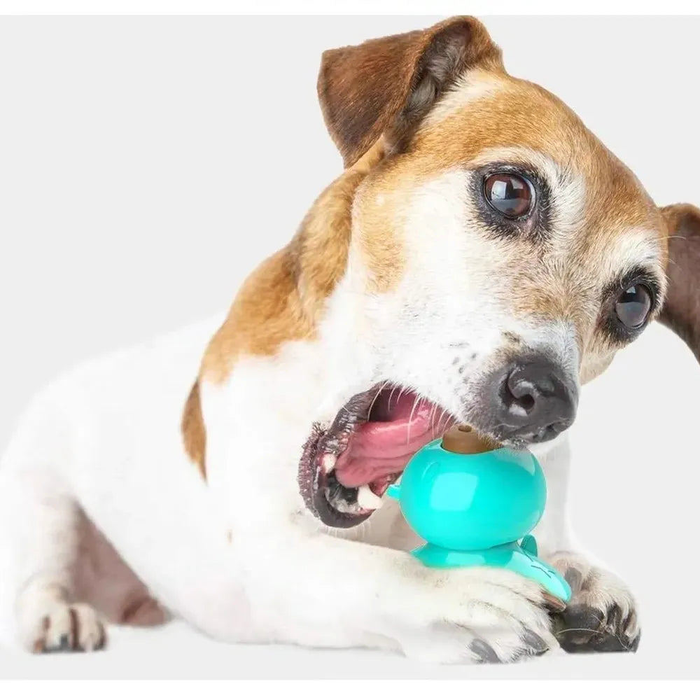 Dog Chew Toy