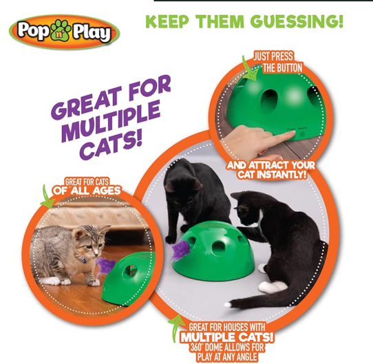 POP N PLAY JUGUETE INTERACTIVO PARA GATO