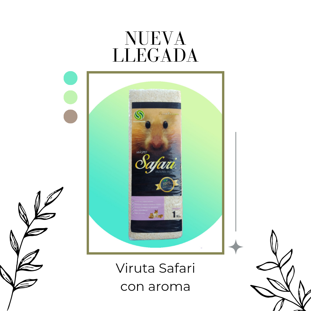 Viruta con Aroma Safari 24 unidades