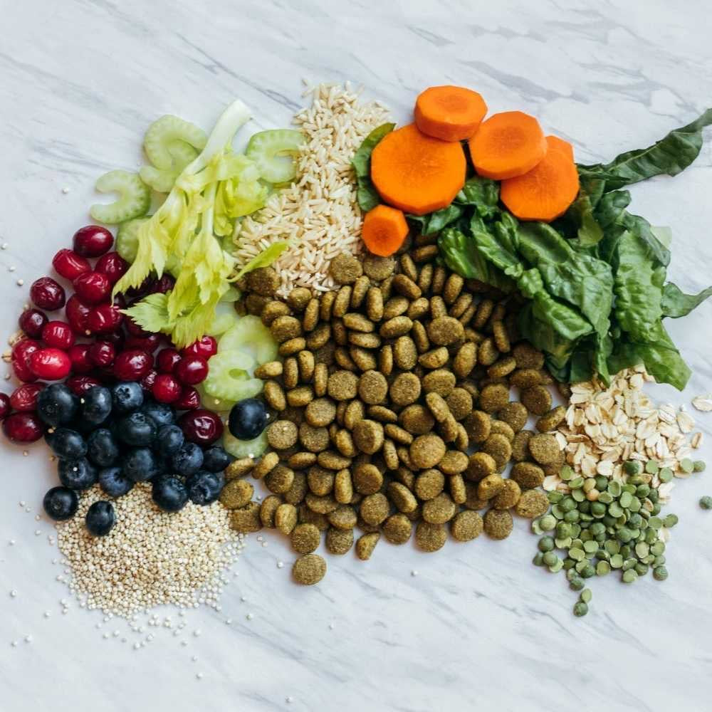 Alimento Vegano V-PLANET - Razas medianas a grandes