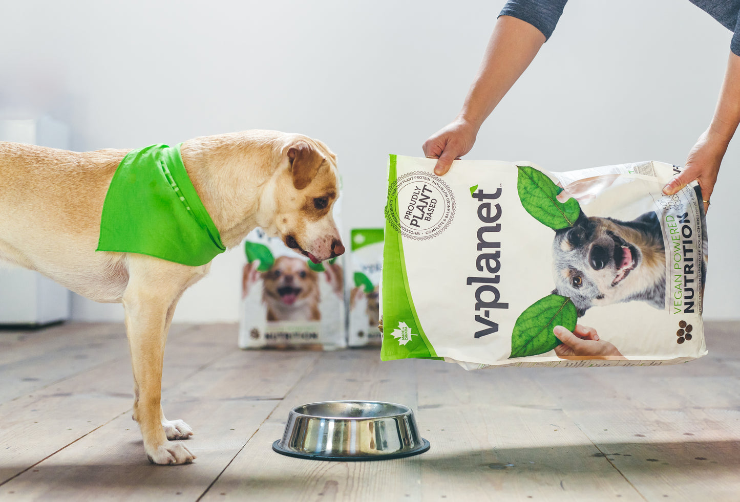 Alimento Vegano V-PLANET - Razas medianas a grandes