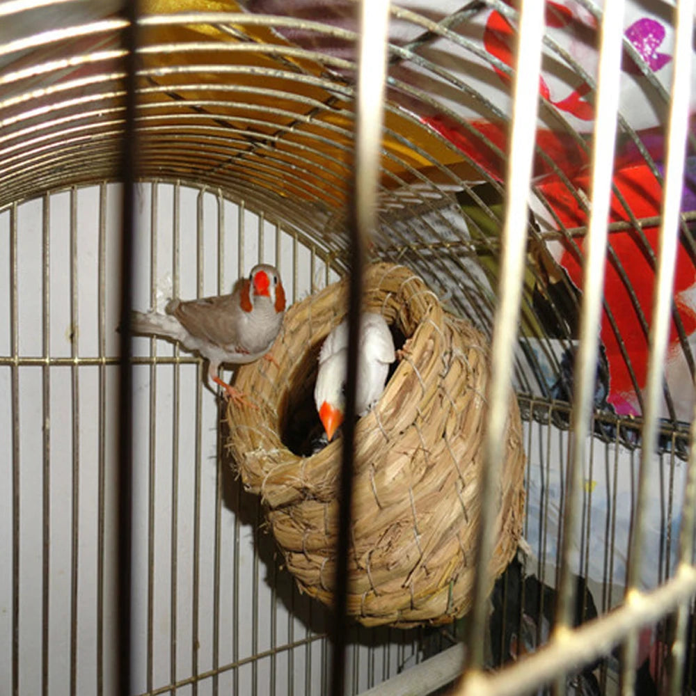Nido de pájaro hecho a mano para pájaros