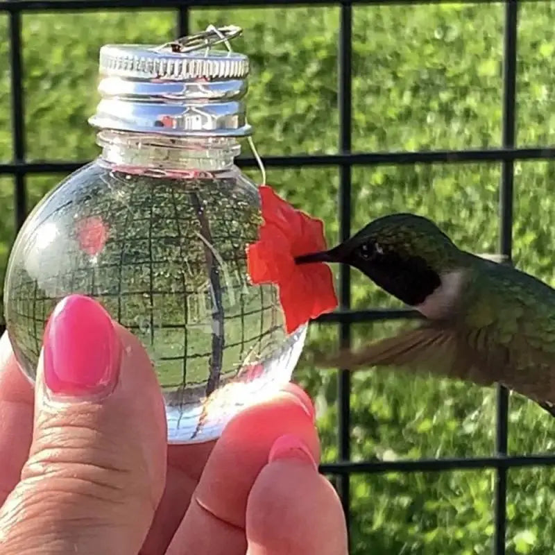 Gancho de hierro para pájaros para mascotas, alimentador de colibrí caliente, plástico colgante, al por mayor, Bombilla redonda, al aire libre, 1 ~ 5 piezas, 2023