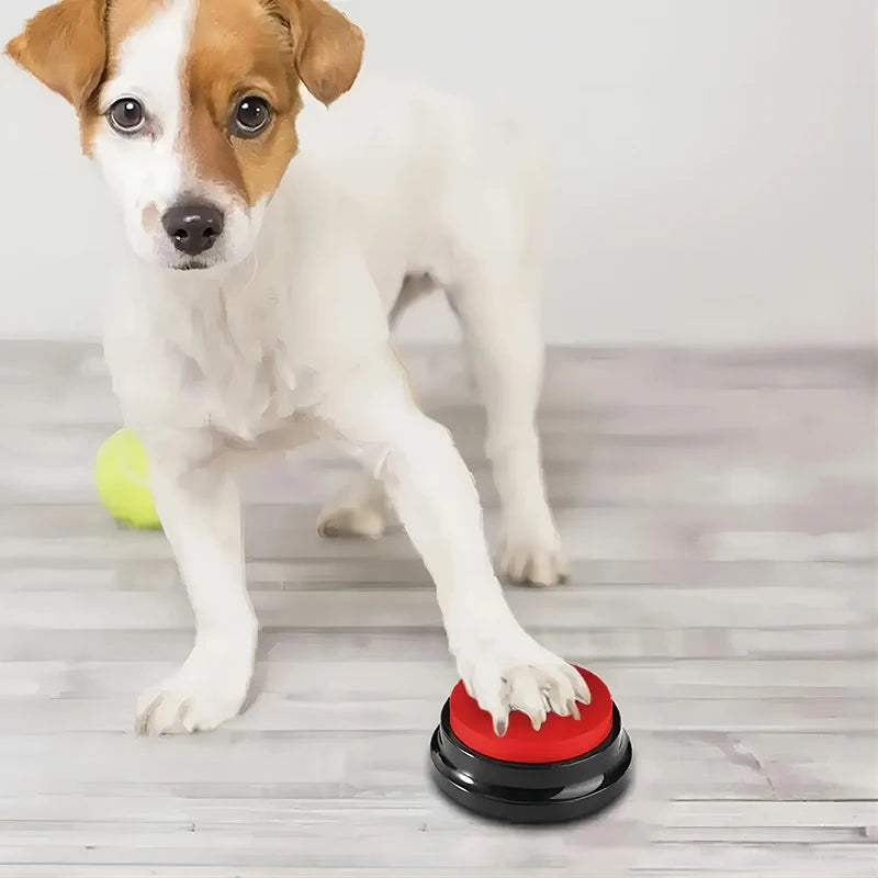 Juguetes Divertidos grabables para perros