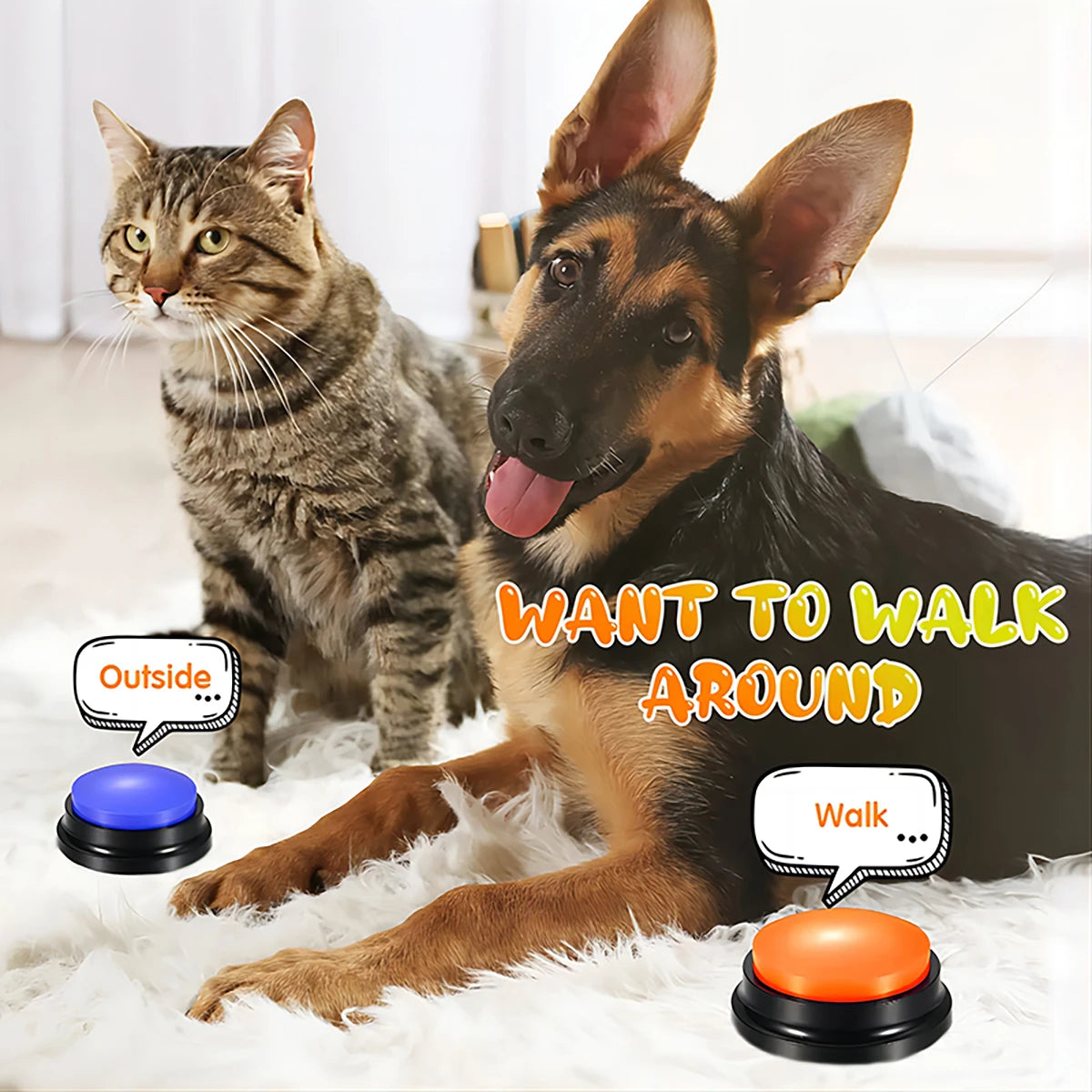 Juguetes Divertidos grabables para perros