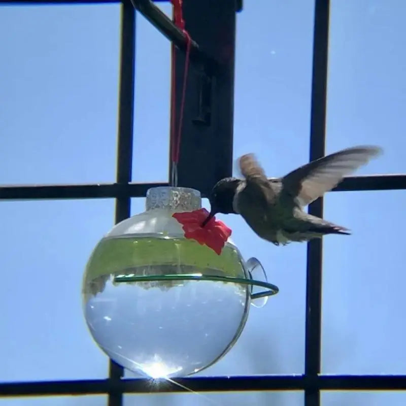 Gancho de hierro para pájaros para mascotas, alimentador de colibrí caliente, plástico colgante, al por mayor, Bombilla redonda, al aire libre, 1 ~ 5 piezas, 2023