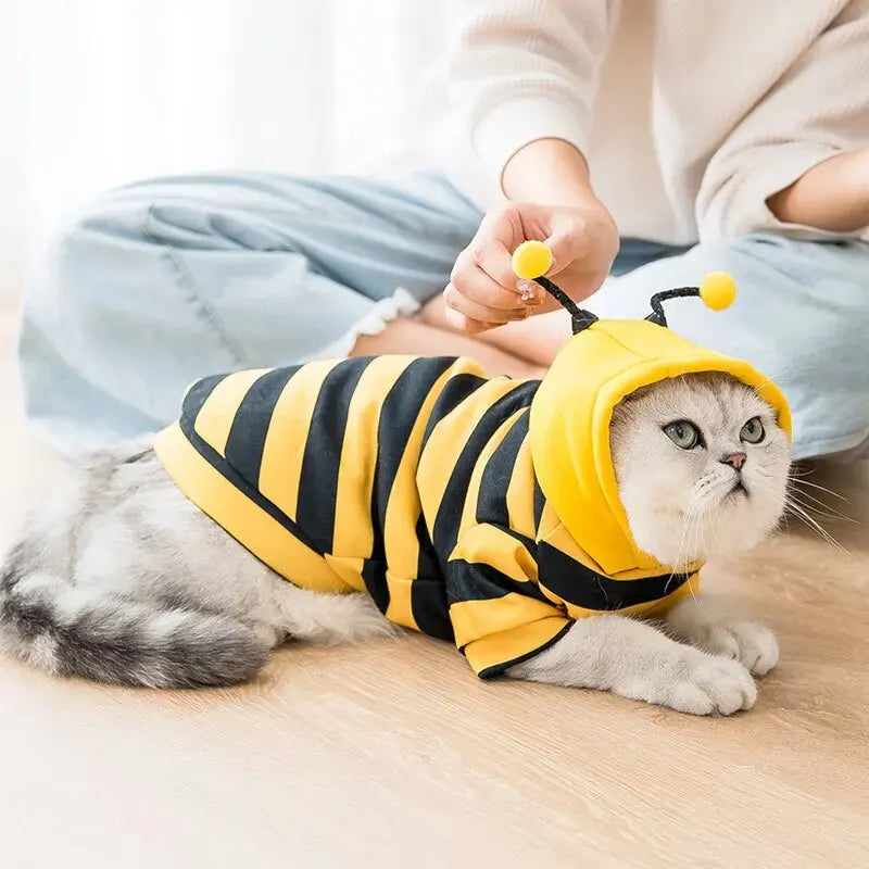 Ropa de piezas para perro, Disfraz para perros