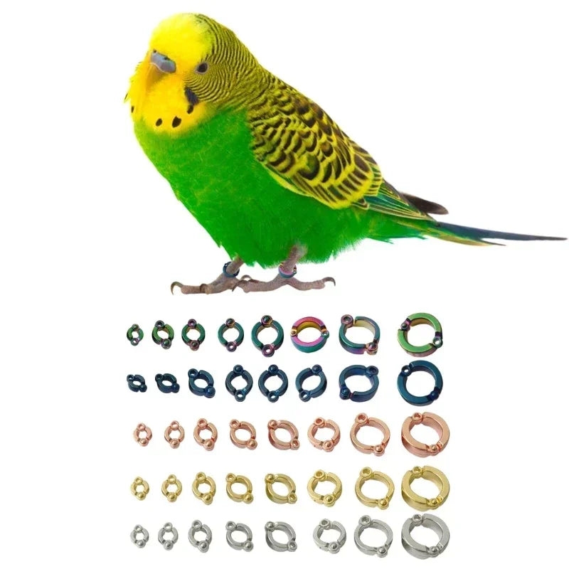 Anillos de Metal para pata de pájaro especial para adiestramiento