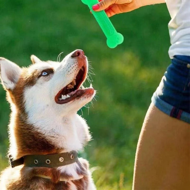 Juguetes para masticar para perros, juguetes de hueso de goma, masticadores agresivos, cepillo de dientes para perros, cuidado Dental para cachorros, accesorios para mascotas, gran oferta