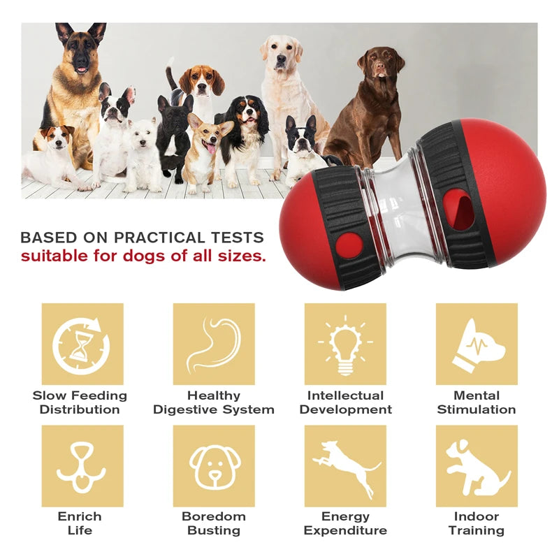 Juguete interactivo de forma elíptica para perros