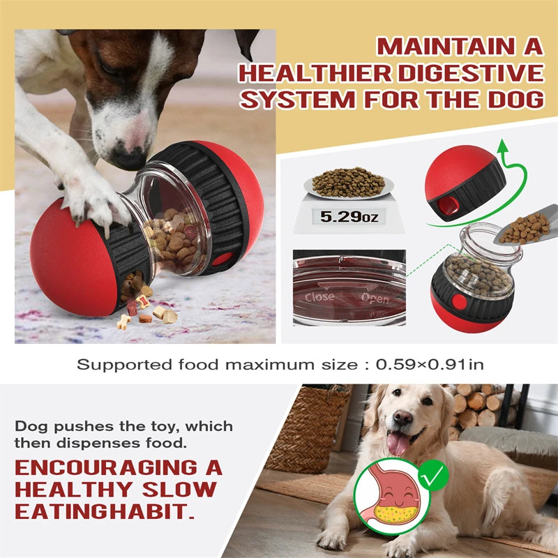 Juguete interactivo de forma elíptica para perros