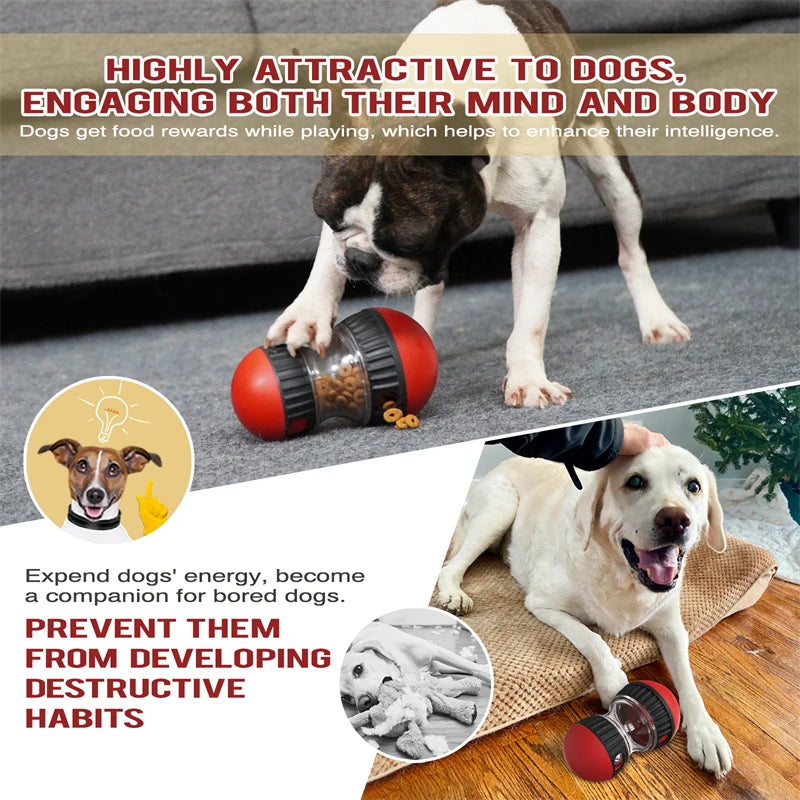 Juguete interactivo de forma elíptica para perros