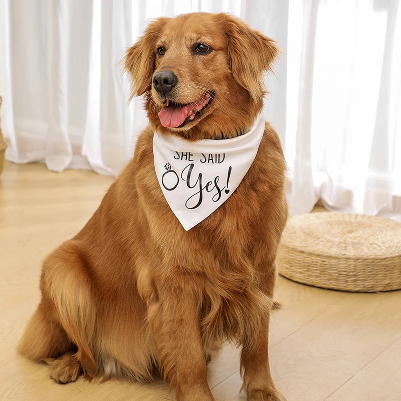 Pañuelo triangular para perros medianos y grandes, bufanda con patrón de letras, babero suave ajustable, accesorios para mascotas, moda de boda