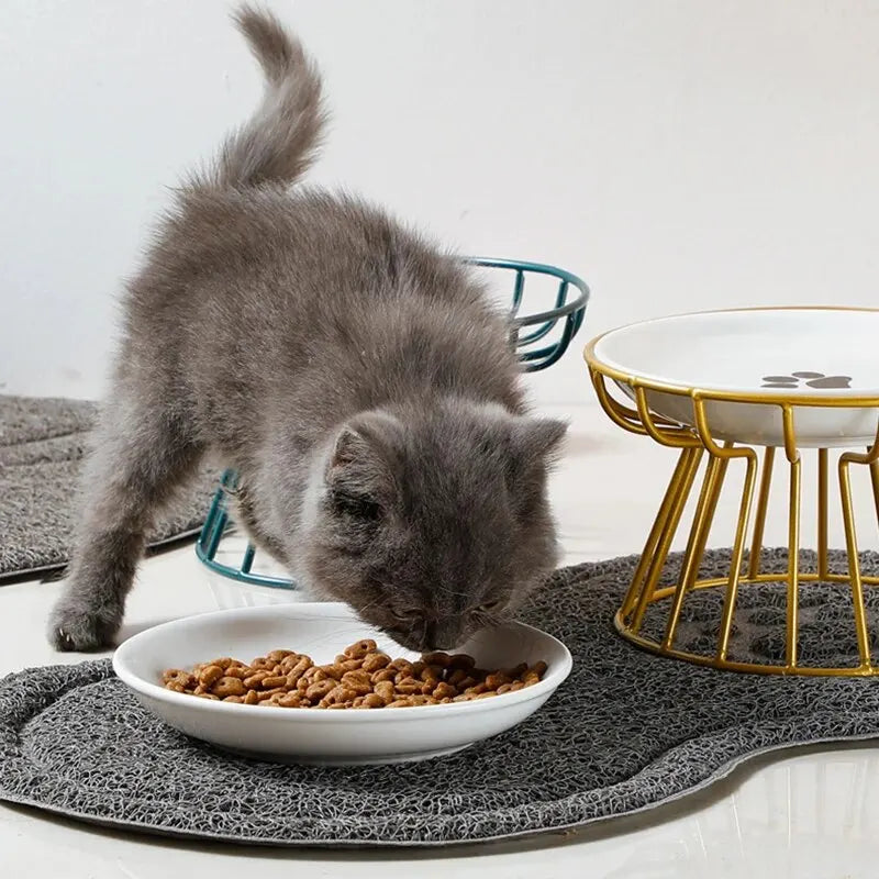 Juego de platos de cerámica para gatos con estante de hierro para comida y agua