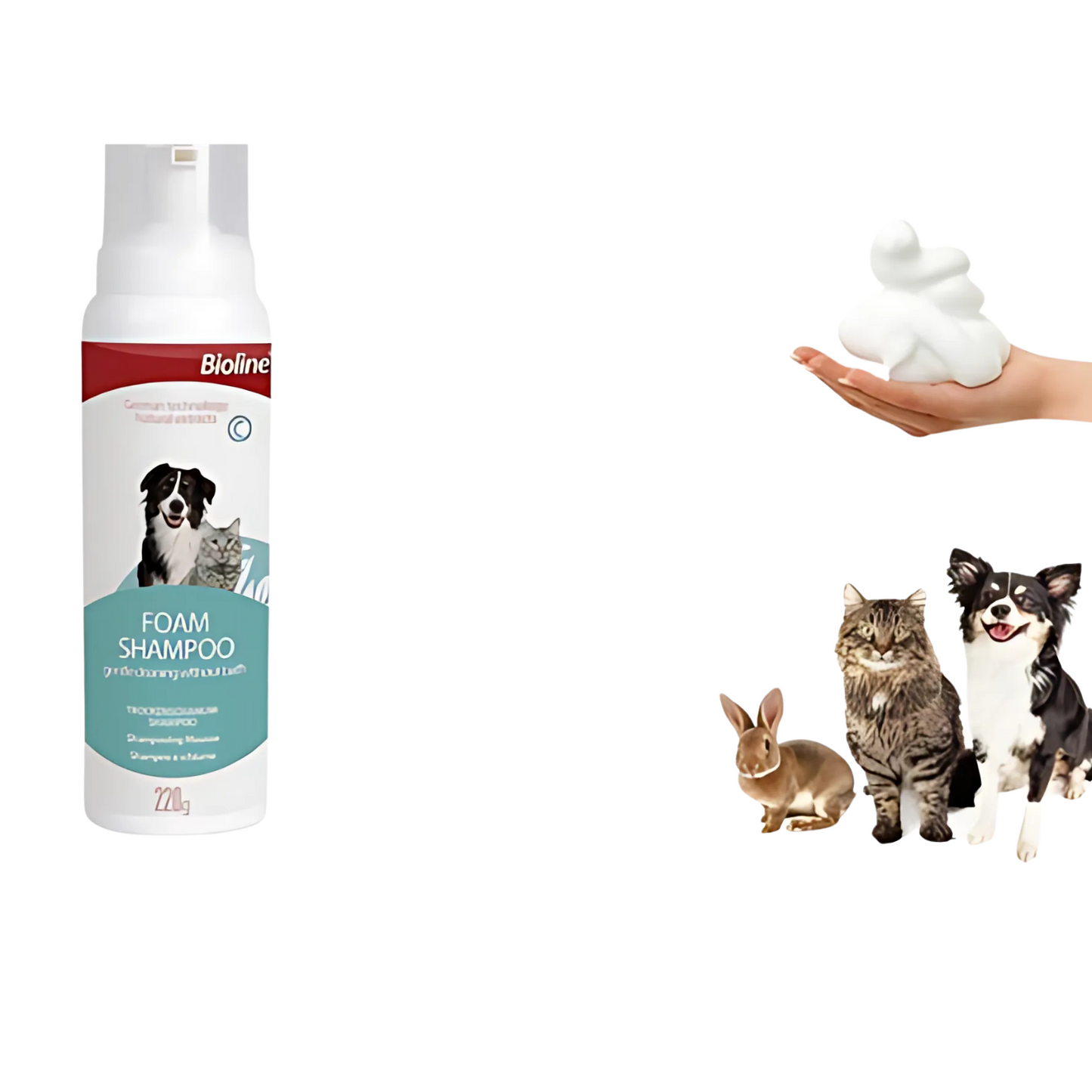 Shampoo en espuma Bioline