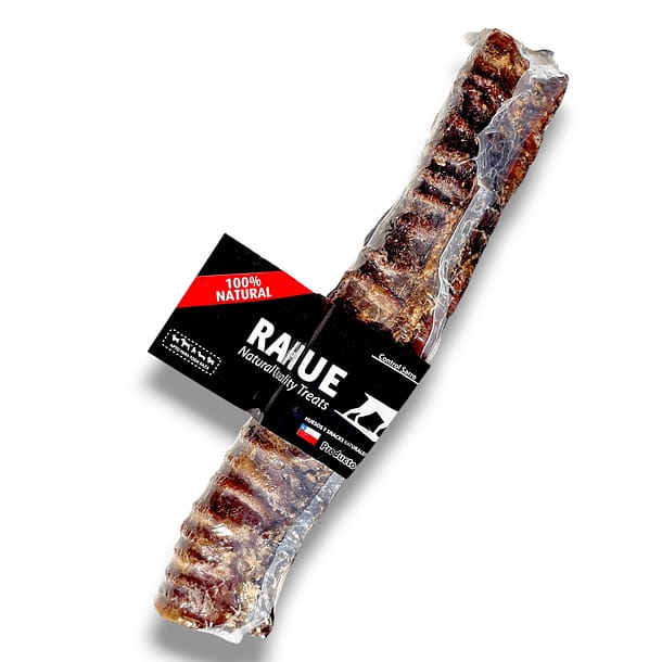 Traquea de bovino "12 Pulgadas"