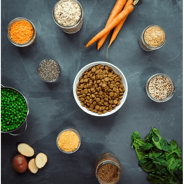 Alimento Vegano V-PLANET - Razas medianas a grandes