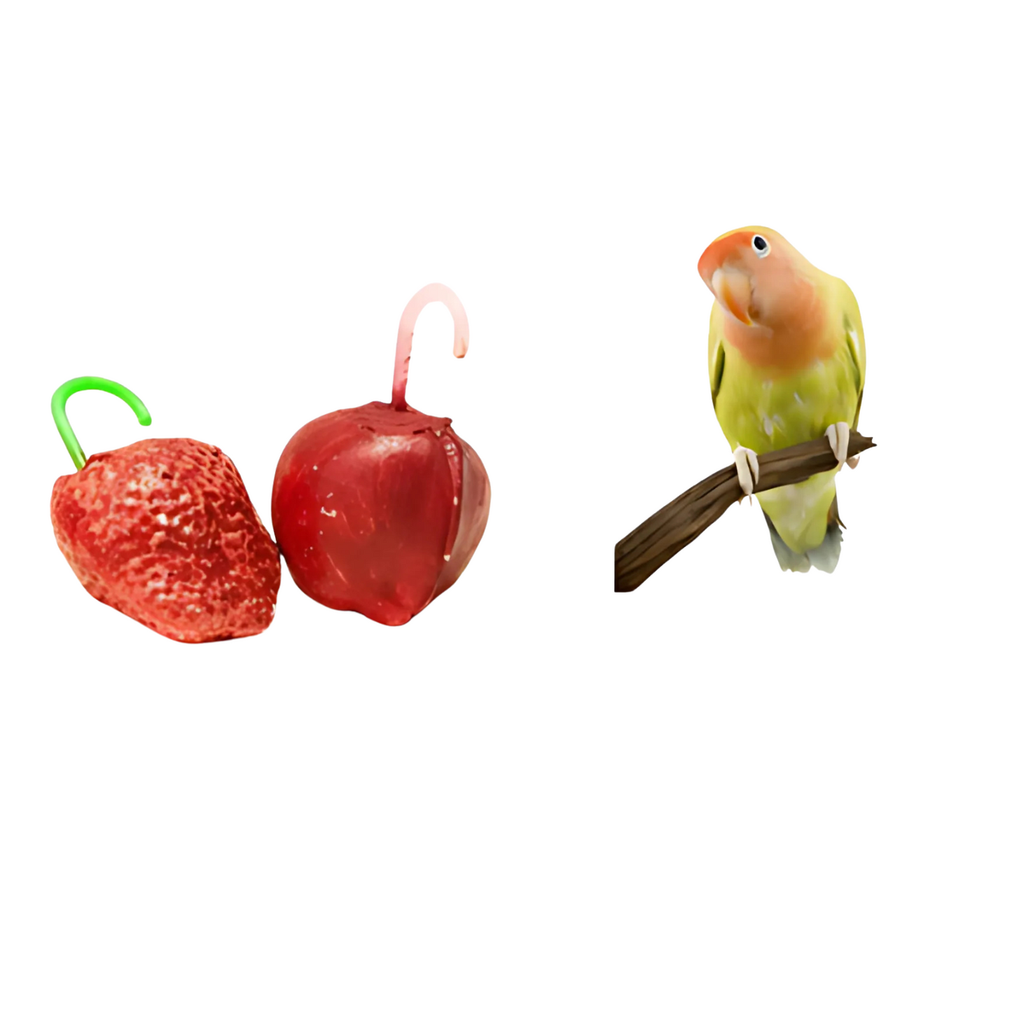 Calcio para aves en forma de frutilla y manzana