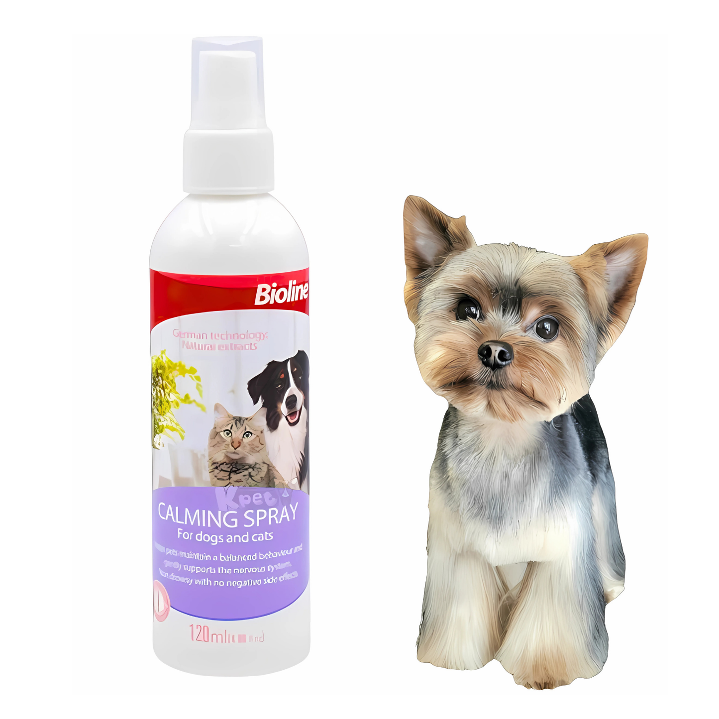 Calming Spray