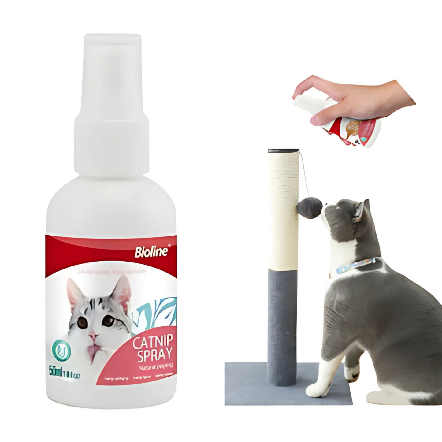 Catnip en Spray