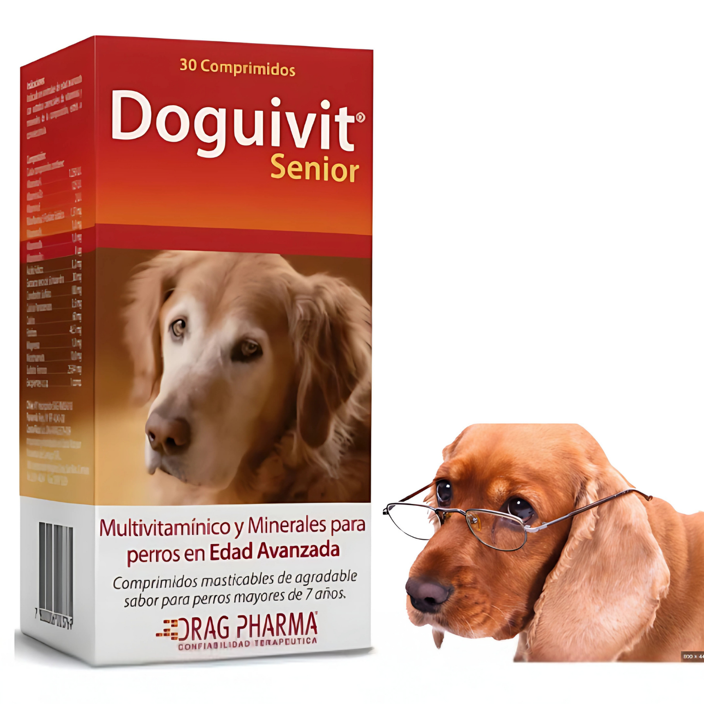 Doguivit Senior