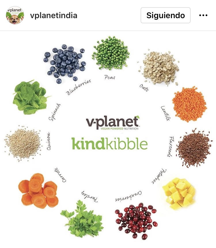 Alimento Vegano V-PLANET - Razas medianas a grandes