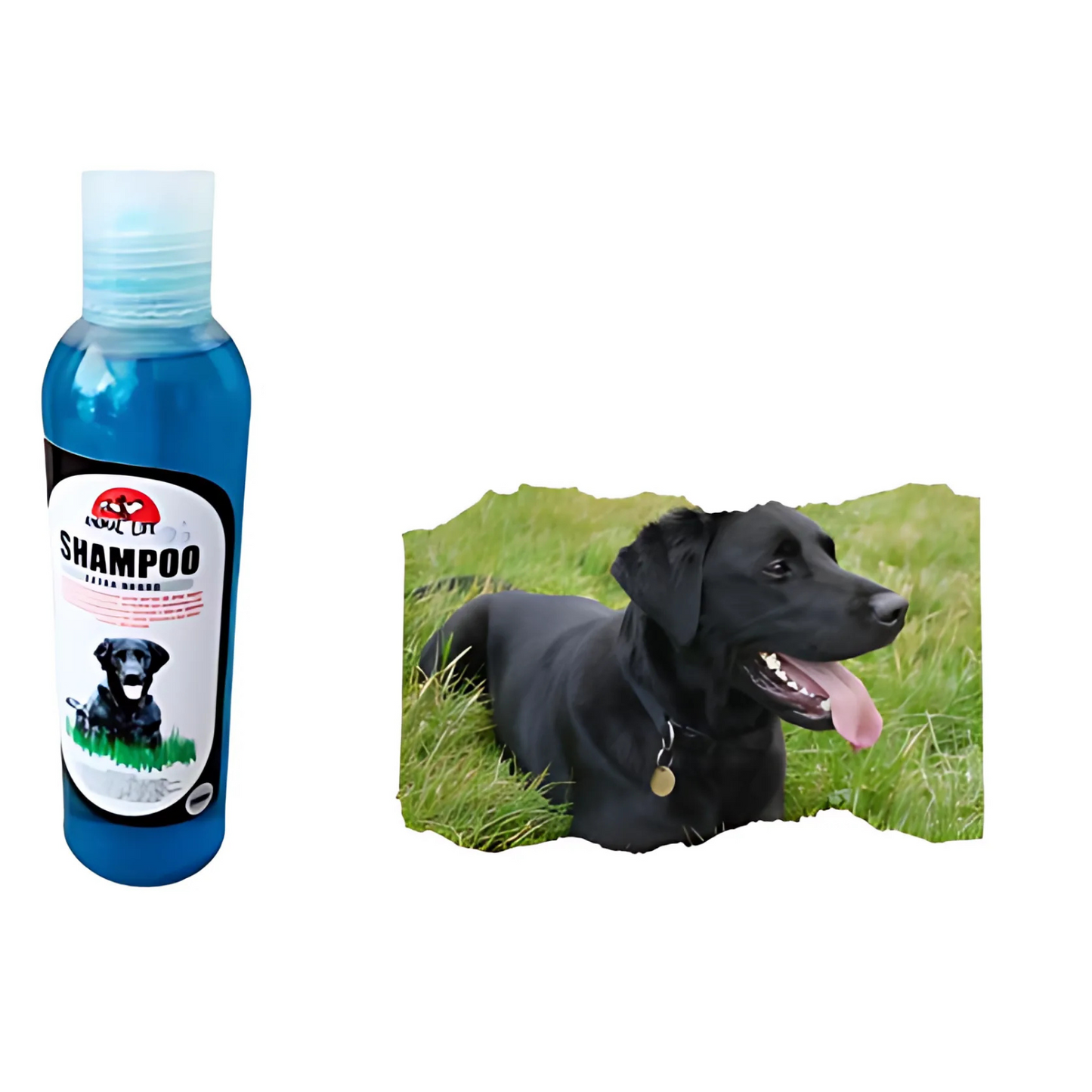 Shampoo extra negro 250 ml.