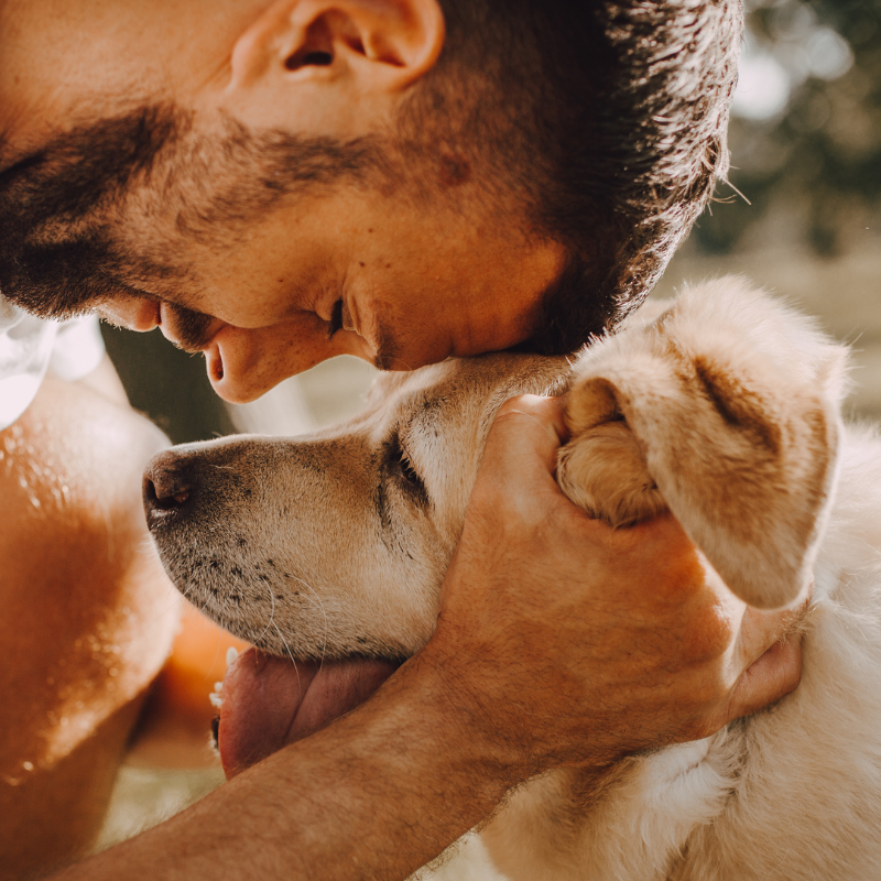 Estudio asegura que decirle "te quiero" a tu perro aumenta su ritmo cardiaco en un 46%