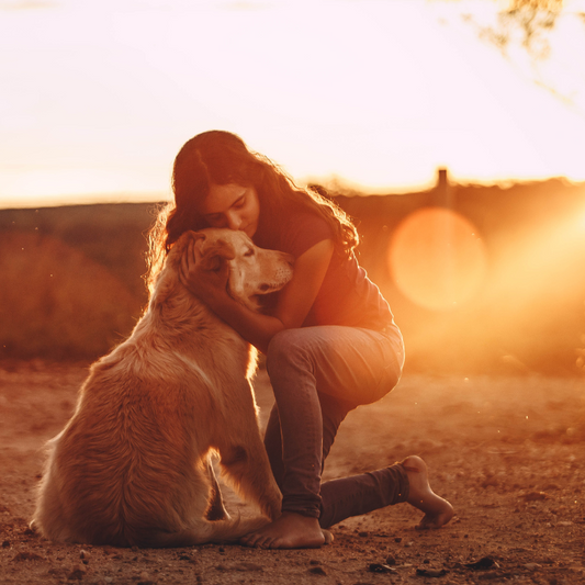 Mascotas como apoyo emocional: ¿Cómo ayudan en nuestra salud mental?