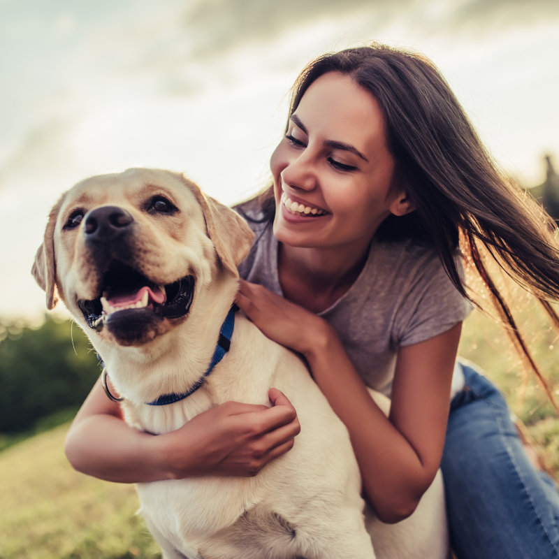 Los Mejores Accesorios para Consentir a Tu Perro: Guía Completa para 2024