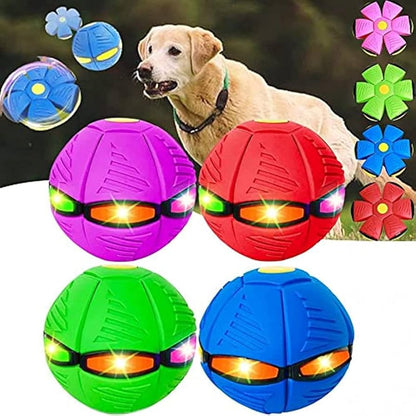 PELOTA PLANA FRISBEE