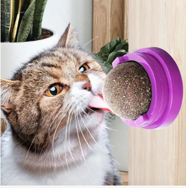 CATNIP BALL JUGUETE PARA GATO